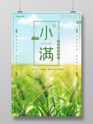 简约清新绿色麦田蜻蜓二十四节气小满海报